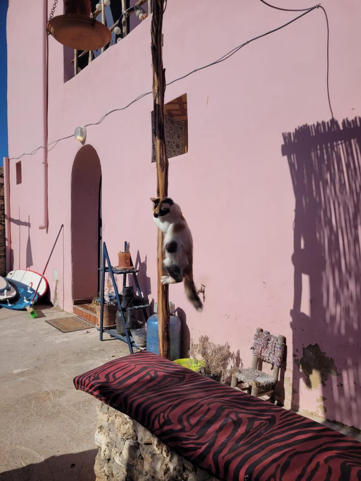 Home Surf Sidi Kaouki Exterior foto
